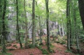 Thumbnail af versionen fra 18. okt 2009, 14:59