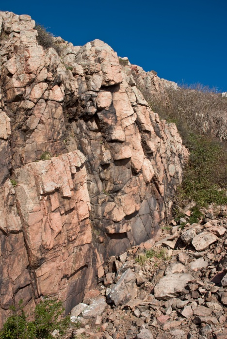 Kullen-Tornerose-DSC 8140 master.jpg