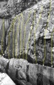 Thumbnail af versionen fra 31. jan 2010, 22:23