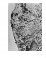 Thumbnail af versionen fra 22. nov 2009, 02:06