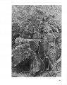 Thumbnail af versionen fra 22. nov 2009, 11:43