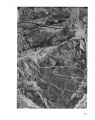 Thumbnail af versionen fra 22. nov 2009, 11:43