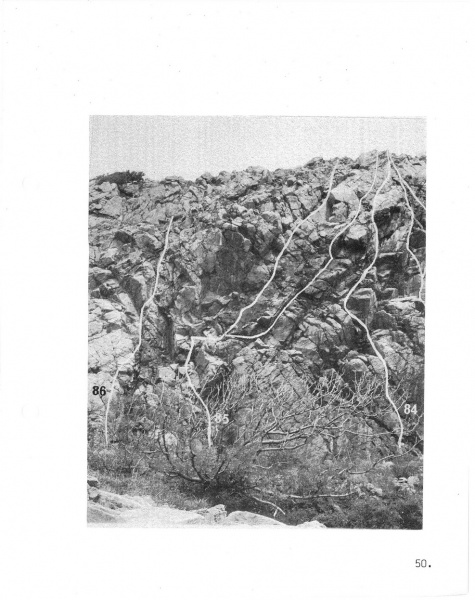 Fil:Kullen guide 1972 050.jpg