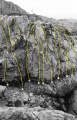 Thumbnail af versionen fra 29. jan 2010, 23:14