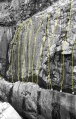 Thumbnail af versionen fra 29. jan 2010, 23:14