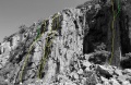 Thumbnail af versionen fra 15. okt 2011, 16:02