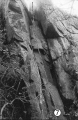 Thumbnail af versionen fra 28. okt 2011, 10:08