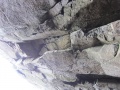 Thumbnail af versionen fra 14. jan 2012, 00:29