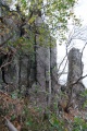 Thumbnail af versionen fra 29. okt 2012, 12:50