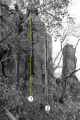 Thumbnail af versionen fra 29. okt 2012, 13:43