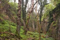 Thumbnail af versionen fra 13. okt 2011, 15:41